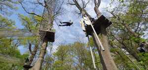 Go ape 3