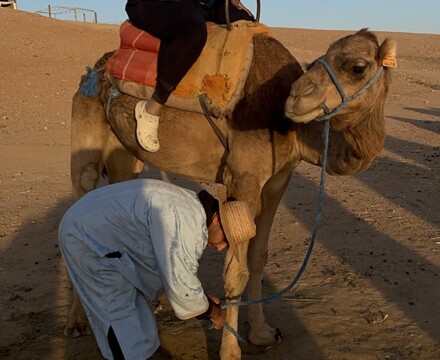 Marrakech 37