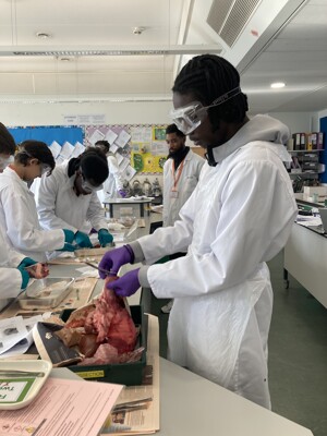 Y13 Biology students science club 1