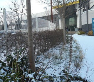 Severe Weather Conditions